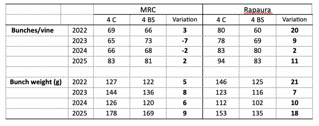 A table comparing grape bunches per vine and bunch weight (g) from 2022-2025 at two sites (MRC and Rapaura), with data for 4 C, 4 BS, and Variation columns for each year and site.